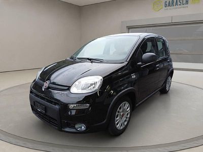Gebraucht Fiat Panda City Life 71 PS (52 kW) 2024 Kleinwagen