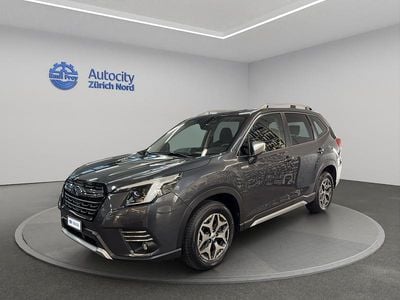 Grau Gebraucht 2024 Subaru Forester SUV | CHF 34’999 (Fairer Preis)