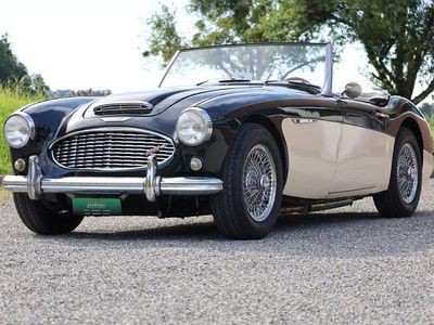 Gebraucht 1960 Austin Healey 3000 MK I | CHF 68’500