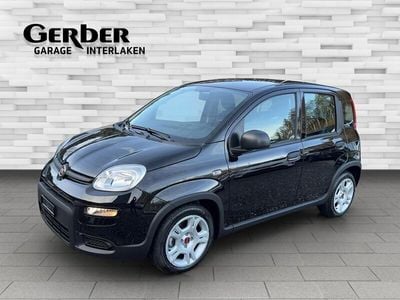 Gebraucht 2024 Fiat Panda Kleinwagen | CHF 15’990 (Etwas zu teuer)