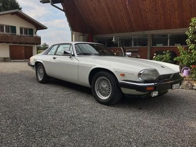 Gebraucht Jaguar XJS 265 PS (194 kW) 1990