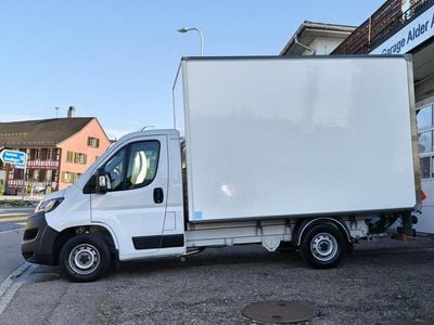 Weiss Gebraucht 2023 Fiat Ducato Van | CHF 38’900 (Teuer)