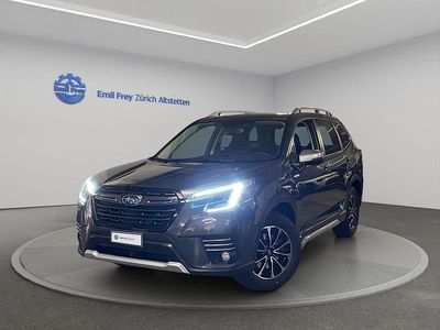 Grau Gebraucht 2024 Subaru Forester SUV | CHF 38’420 (Teuer)
