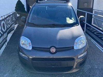Gebraucht Fiat Panda City Life 70 PS (51 kW) 2022 Kleinwagen