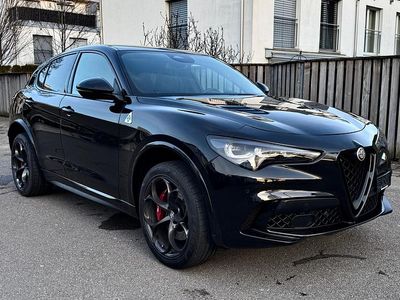 Gebraucht Alfa Romeo Stelvio Quadrifoglio 520 PS (382 kW) 2024 SUV