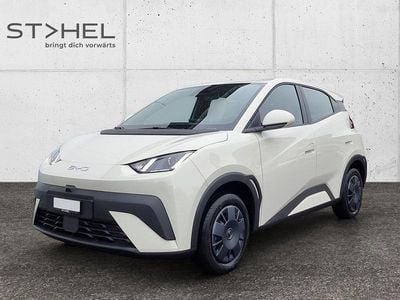 Neu BYD Dolphin Surf Active 64 kW (88 PS) 2025 Weiss Kleinwagen