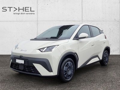 Neu BYD Dolphin Surf Active 64 kW (88 PS) 2025 Weiss Kleinwagen