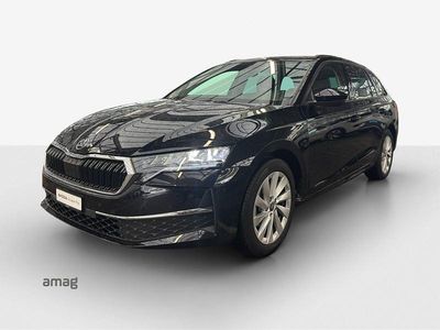 Gebraucht Skoda Octavia Selection 150 PS (110 kW) 2025 Magic schwarz, perleffekt Kombi