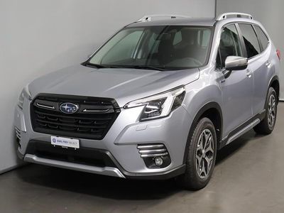 Gebraucht 2023 Subaru Forester SUV | CHF 31’800