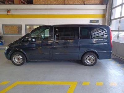Mercedes Viano