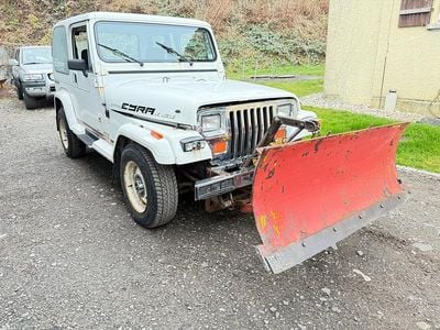 Gebraucht 1989 Jeep Wrangler Laredo SUV | CHF 2’600