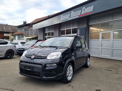 Gebraucht Fiat Panda 70 PS (51 kW) 2024 Kleinwagen