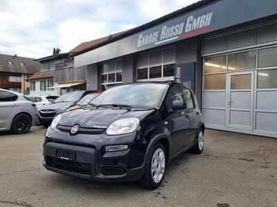 Gebraucht 2024 Fiat Panda Kleinwagen | CHF 14’400 (Fairer Preis)