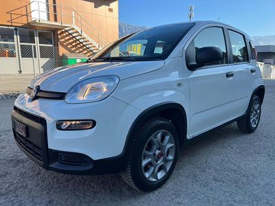 Gebraucht 2015 Fiat Panda 4x4 Pop Kleinwagen | CHF 9’900 (Etwas zu teuer)