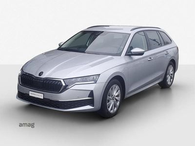 Gebraucht Skoda Octavia Selection 150 PS (110 kW) 2025 Brilliant silber, metallic Kombi