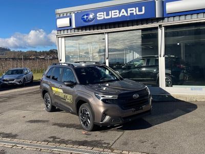Gebraucht 2024 Subaru Forester SUV | CHF 46’200 (Etwas zu teuer)