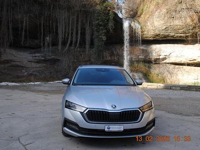 Gebraucht Skoda Octavia Ambition 115 PS (84 kW) 2022 Kombi