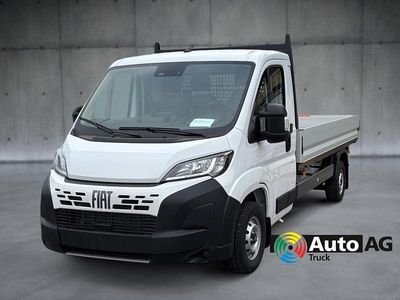 Weiss Neu 2025 Fiat Ducato Van | CHF 48’690
