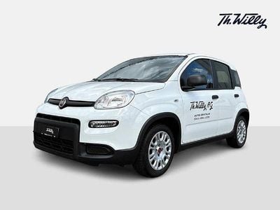 Weiss Gebraucht 2023 Fiat Panda Kleinwagen | CHF 13’900 (Teuer)