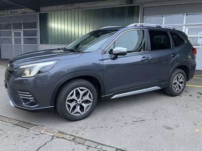 Gebraucht 2023 Subaru Forester SUV | CHF 33’500 (Etwas zu teuer)