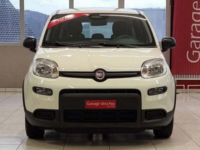 Gebraucht Fiat Panda City Life 70 PS (51 kW) 2024 Kleinwagen