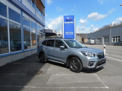 gebraucht Subaru Forester Station 2.0i e-Boxer Luxury