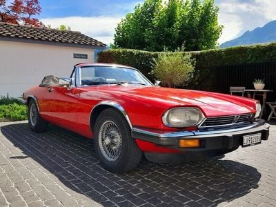 Gebraucht 1982 Jaguar XJS | CHF 23’800