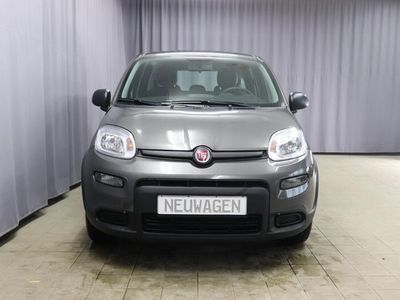 gebraucht Fiat Panda Hybrid UVP 17.680 Euro 1.0 GSE 51kW Mild-Hybrid Komfort-Paket, Klimaanlage, Bordcomputer, Heckscheibenheizung, Servolenkung, LED-Tagfahrlicht, 15" Design-Stahlfelgen, uvm.