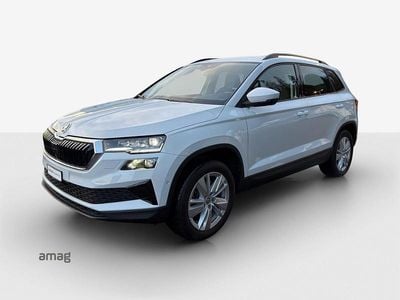 Moon weiss, metallic Gebraucht 2024 Skoda Karoq SE SUV | CHF 36’990 (Etwas zu teuer)