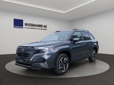 Grau Gebraucht 2024 Subaru Forester SUV | CHF 43’300 (Fairer Preis)