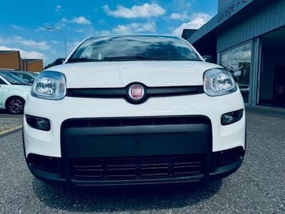 Gebraucht 2024 Fiat Panda Kleinwagen | CHF 15’490
