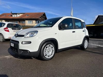 Gebraucht Fiat Panda Cross Cross 70 PS (51 kW) 2024 Kleinwagen