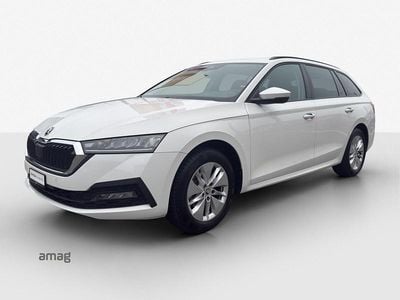Candy weiss, spezial Gebraucht 2021 Skoda Octavia Ambition Kombi | CHF 22’450 (Fairer Preis)