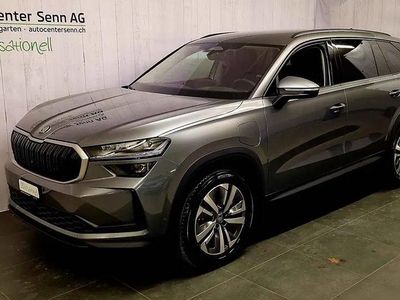 Neu Skoda Kodiaq Dynamic 204 PS (150 kW) 2026 Gray SUV