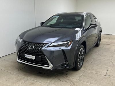 Gebraucht Lexus UX 250h 184 PS (135 kW) 2024 Grau SUV