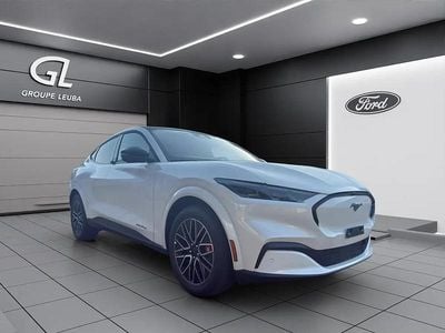 Neu Ford Mustang Mach-E Premium 272 kW (371 PS) 2025 Weiss SUV