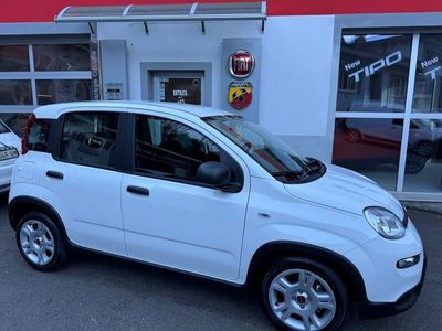 gebraucht Fiat Panda 1.0 MHEV Cult