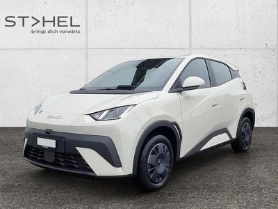 Neu BYD Dolphin Surf Active 64 kW (88 PS) 2026 Weiss Kleinwagen