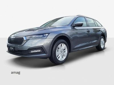 Graphite grau, metallic Gebraucht 2024 Skoda Octavia Ambition Kombi | CHF 26’800 (Fairer Preis)
