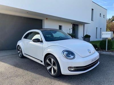 VW Beetle