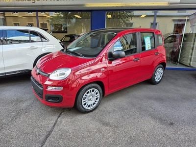 Neu 2025 Fiat Panda Kleinwagen | CHF 16’400 (Etwas zu teuer)
