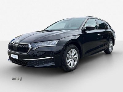 Gebraucht Skoda Octavia Selection 150 PS (110 kW) 2024 Magic schwarz, perleffekt Kombi