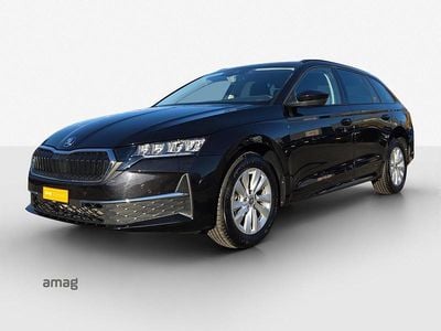 Gebraucht 2024 Skoda Octavia Selection Kombi | CHF 29’490 (Superpreis)