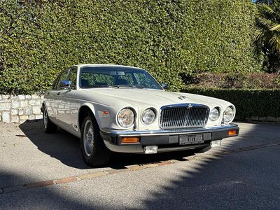 Gebraucht Jaguar XJ6 Sovereign 178 PS (130 kW) 1983 Limousine