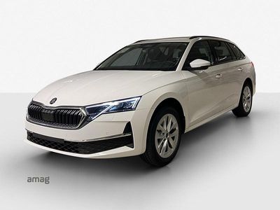 Neu 2025 Skoda Octavia Selection Kombi | CHF 35’990 (Etwas zu teuer)