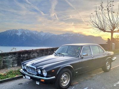 Gebraucht Jaguar XJ12 Sovereign 295 PS (216 kW) 1982 Limousine
