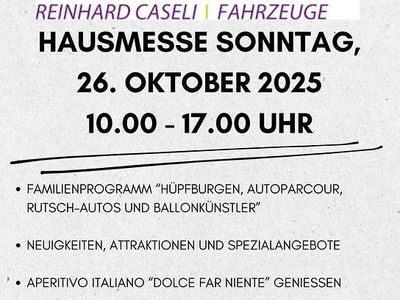 Gebraucht 1992 Mercedes SL500 Cabrio | CHF 32’800