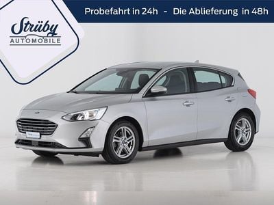 Grau Gebraucht 2019 Ford Focus Cool & Connect Limousine | CHF 11’900 (Fairer Preis)