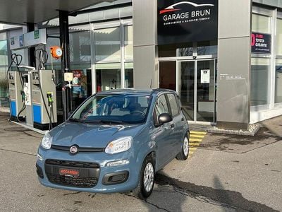 Blau Gebraucht 2021 Fiat Panda Limousine | CHF 9’200 (Superpreis)