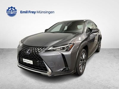 Gebraucht Lexus UX 250h 184 PS (135 kW) 2023 SUV